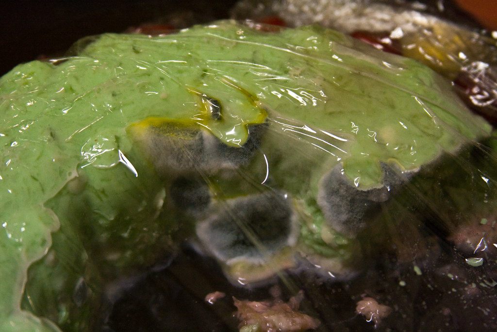 A photo of jello mold